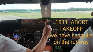 BOEING 747  clear for TAKEOFF Controller report quotseagulls on the runway ABORT TAKEOFF [upl. by Naeloj250]