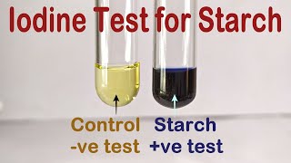 Iodine Test For Starch Practical Experiment [upl. by Yeldah]