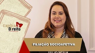 Explica Direito Filiação Socioafetiva  2019 [upl. by Ecirpak285]