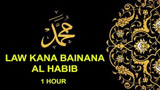 Law Kana Bainana Al Habib 1 hour version  Malaysia [upl. by Sarine]