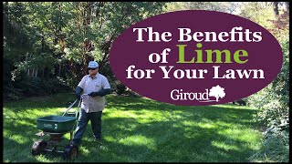 Benefits of Lime Video [upl. by Erline]