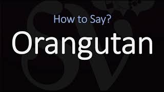 How to Pronounce Orangutan CORRECTLY [upl. by Dodds]