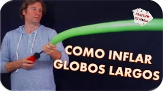 loro de globos  como hacer figuras con globos  globoflexia facil [upl. by Sokil971]