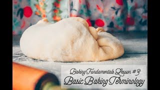 BASIC BAKING TERMINOLOGY  folding proofing ferment scoring and more [upl. by Minsat]