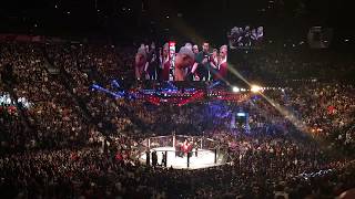 Conor McGregor knocks out Jose Aldo in 13 Seconds UFC 194 From the Crowd with reaction [upl. by Eelytsirk132]