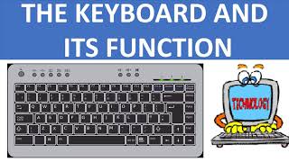 KEYBOARD AND ITS FUNCTION  FUNCTIONS OF THE KEYBOARD  BASIC COMPUTER  COMPUTER FUNDAMENTALS [upl. by Dnarb]