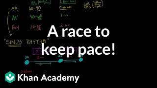 A race to keep pace  Circulatory system physiology  NCLEXRN  Khan Academy [upl. by Elmira]