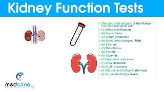 Kidney Function Tests and Interpretation of Results [upl. by Dhruv727]