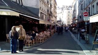 Ambiance sonore  Terrasse de café à Paris Binaural [upl. by Coplin]