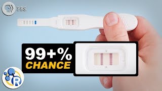 How Do Pregnancy Tests Work [upl. by Laflam]