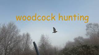 WOODCOCK HUNTING [upl. by Rooney]