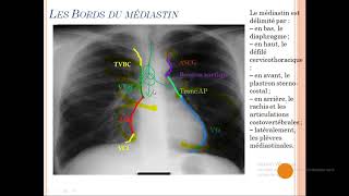 Mediastinal Syndrome SVC syndrome  Simplified English [upl. by Stinky]