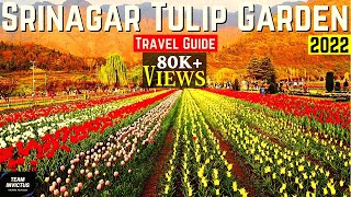 Tulip Garden Kashmir 2021  Asias Largest Tulip Garden  Beautiful Gardens of Kashmir  Srinagar [upl. by Sivolc]