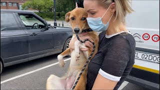 ADOPTING A RESCUE DOG  HER FIRST MOMENTS IN NEW HOME [upl. by Hulburt]