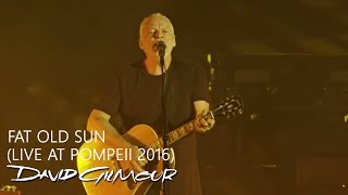 David Gilmour  Fat Old Sun Live At Pompeii [upl. by Niamor]