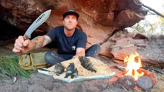 3 DAYS solo survival  NO FOOD NO WATER NO SHELTER in OUT BACK AUSTRALIA [upl. by Jacinda]