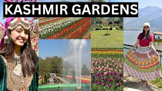 KASHMIR GARDENS AND SHANKARACHARYA Hills SHIVA TEMPLE [upl. by Haerdna]