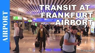 TRANSIT WALK AT FRANKFURT Airport FRA Terminal 1  Connection Flight Transfer Arriving amp Departing [upl. by Hirai]